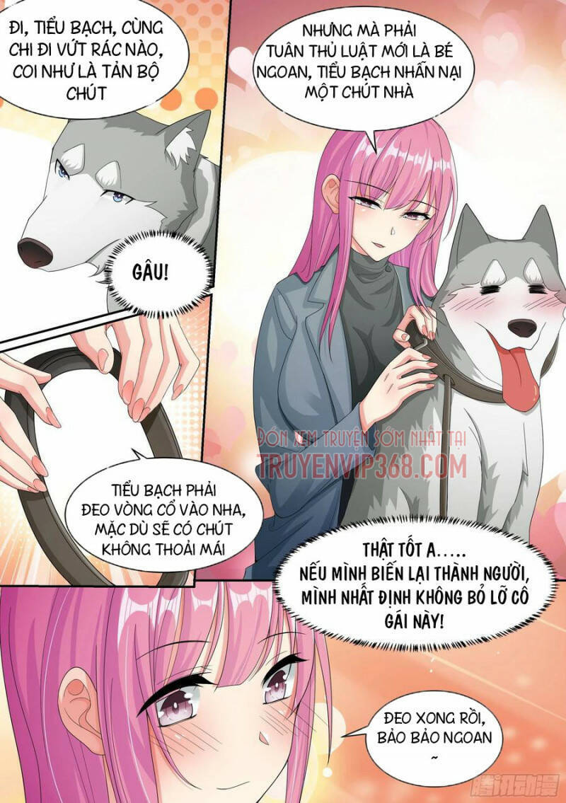 Trọng Sinh Thành Chó Của Nữ Thần Chap 7 - Next Chap 8