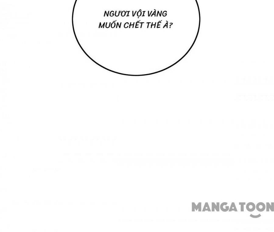 Tiên Đế Trở Về Chap 372 - Next Chap 373