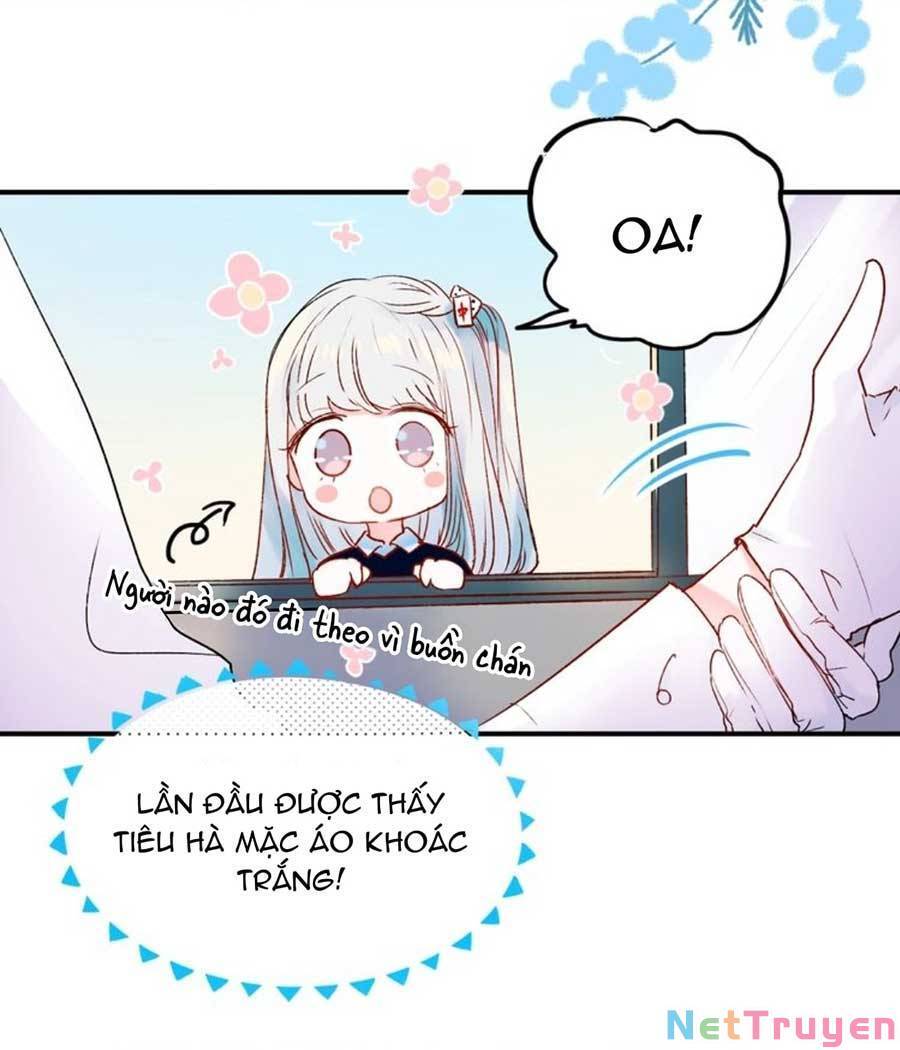 Thành Dã Tiêu Hà Chap 41 - Next Chap 42