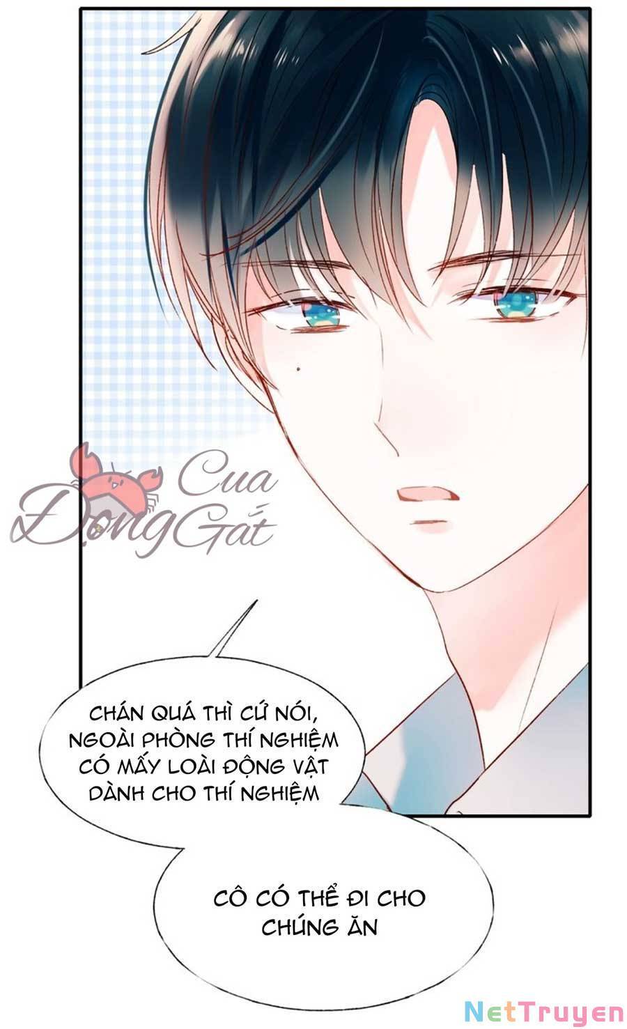 Thành Dã Tiêu Hà Chap 41 - Next Chap 42
