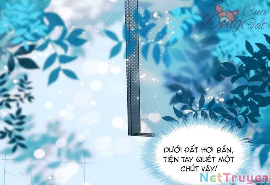 Thành Dã Tiêu Hà Chap 41 - Next Chap 42