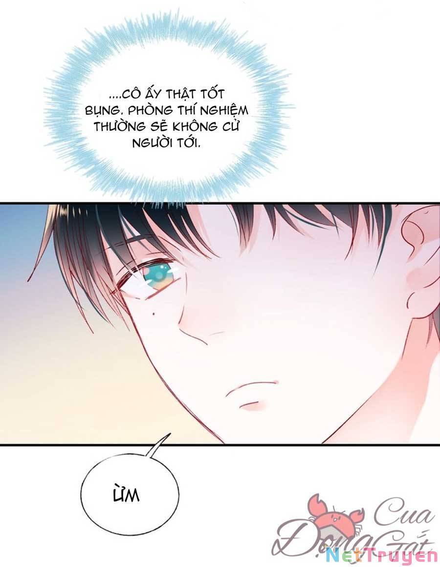 Thành Dã Tiêu Hà Chap 41 - Next Chap 42