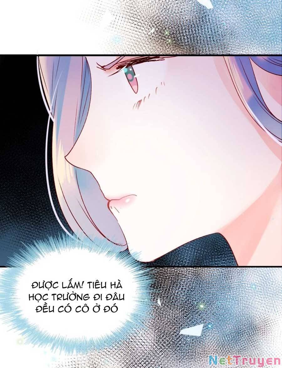 Thành Dã Tiêu Hà Chap 41 - Next Chap 42