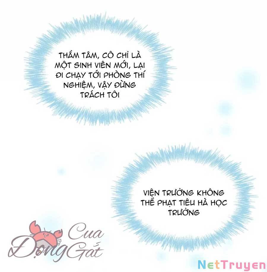 Thành Dã Tiêu Hà Chap 41 - Next Chap 42