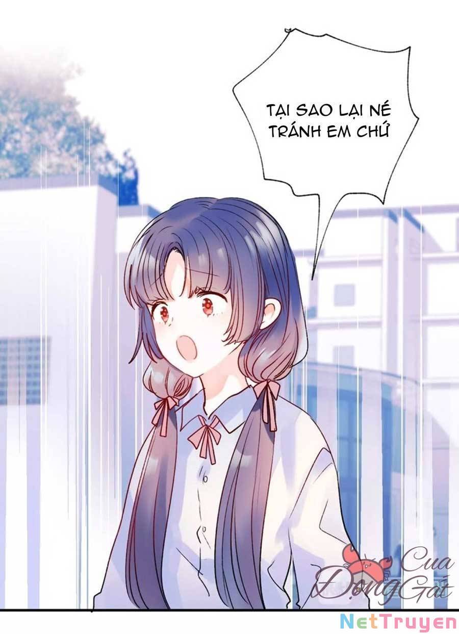Thành Dã Tiêu Hà Chap 41 - Next Chap 42