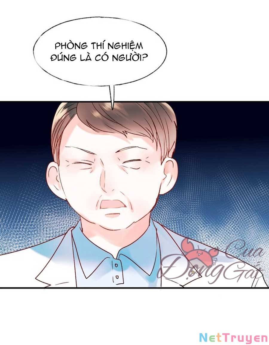 Thành Dã Tiêu Hà Chap 41 - Next Chap 42