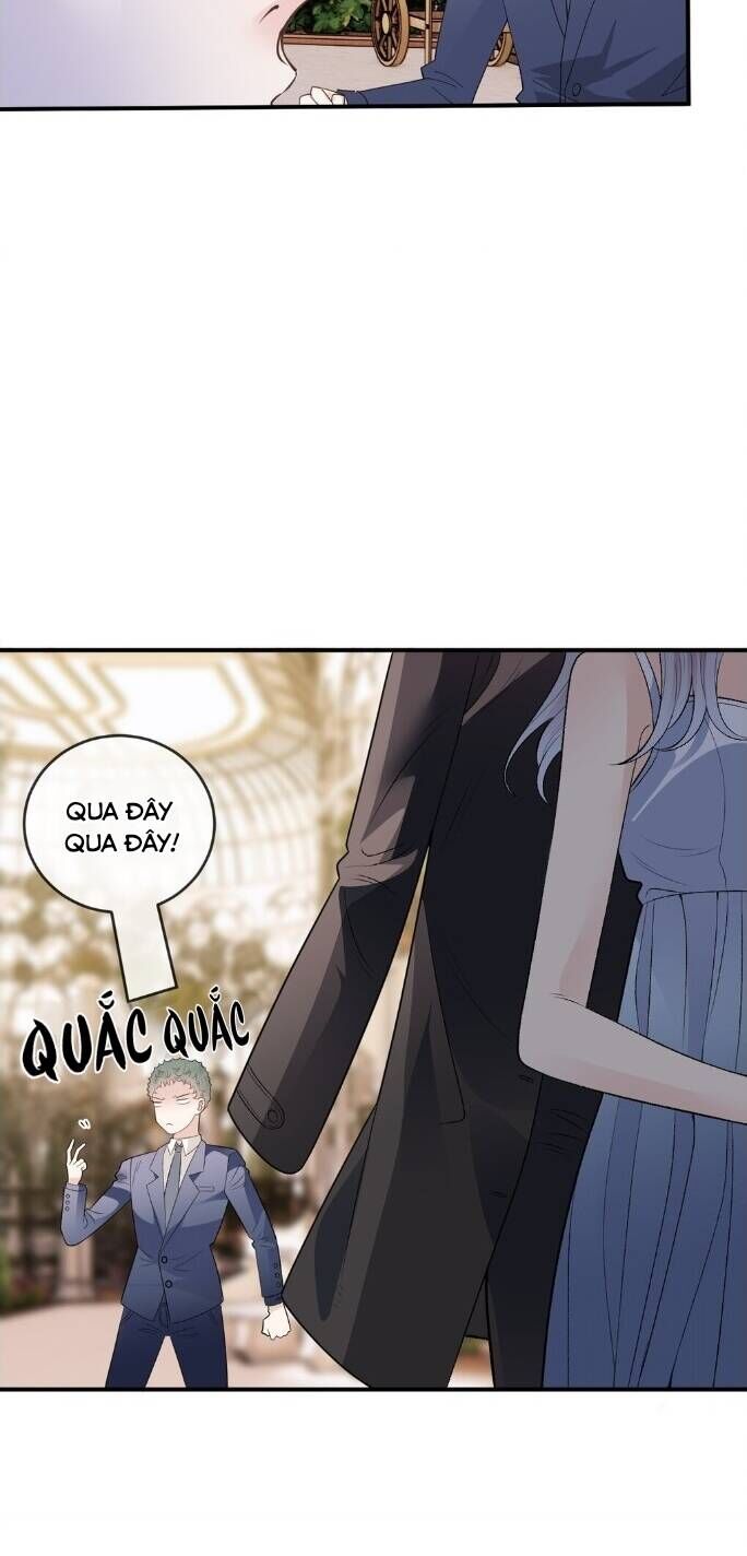 Cô Vợ Mang Thai Một Tặng Một Chap 257 - Next Chap 258