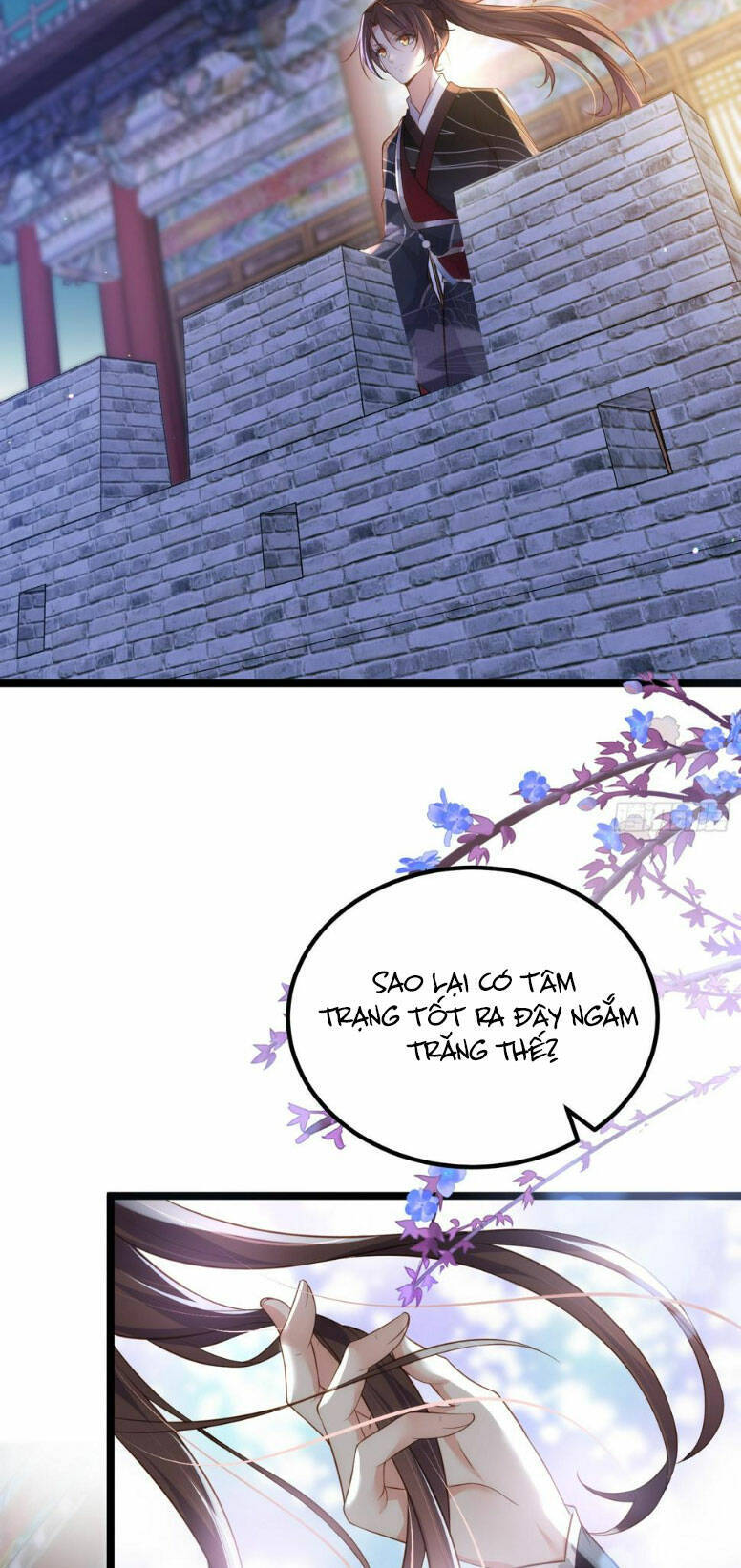 Hoạn Phi Thiên Hạ Chap 299 - Next Chap 300