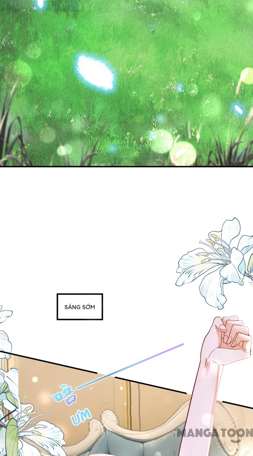 Hào Môn Thiên Giới Tiền Thê Chap 698 - Next Chap 699